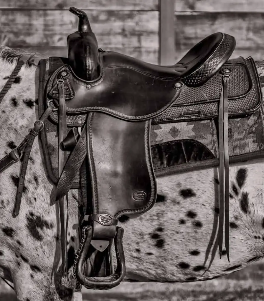 saddle positioning