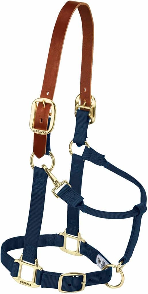 Breakaway Halter