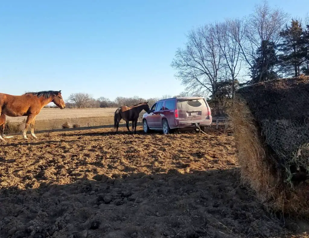 Moving a Haybale With SUV