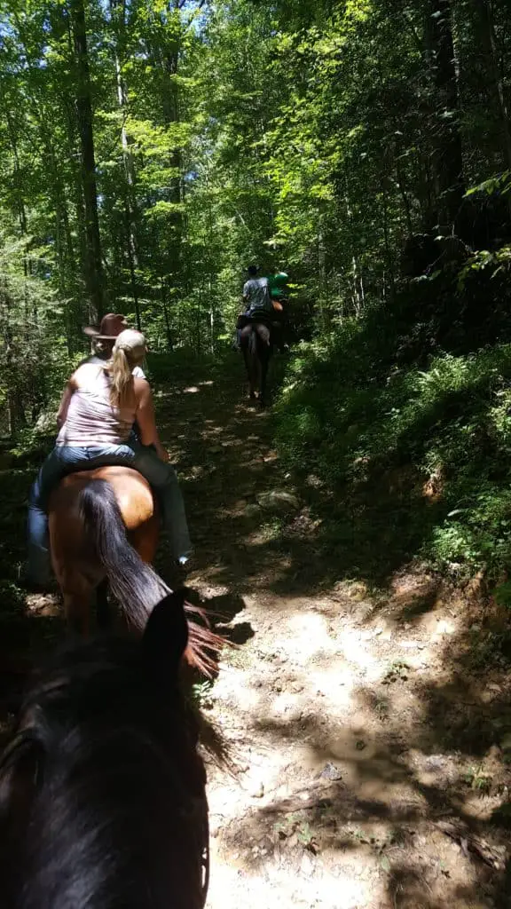 sharp rocks can cause hoof issues.